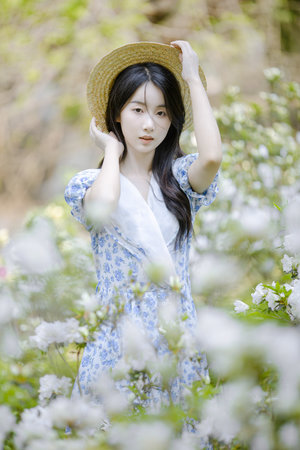 GOGOGO日本免费观看电视版更新时间